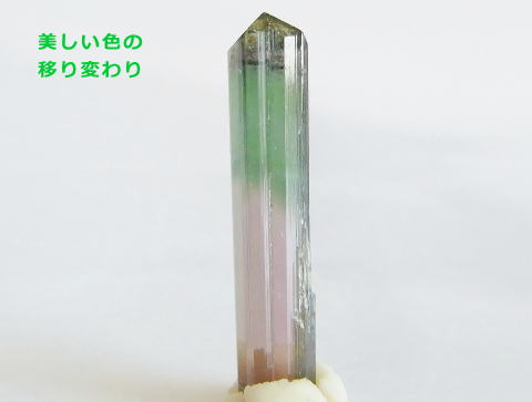 バイカラートルマリン