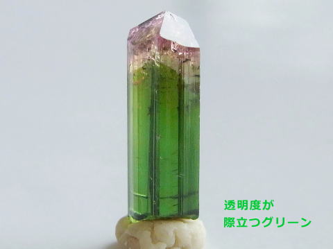 バイカラートルマリン結晶